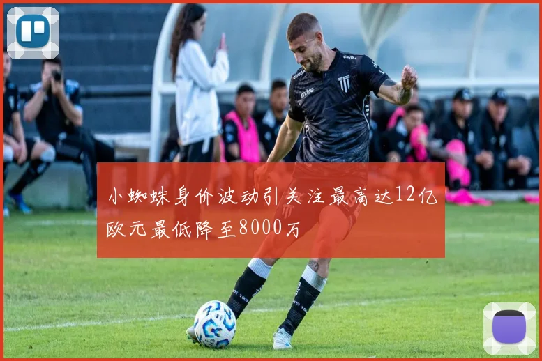 小蜘蛛身价波动引关注最高达12亿欧元最低降至8000万